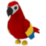 Parrot - Legendary from Jungle Egg